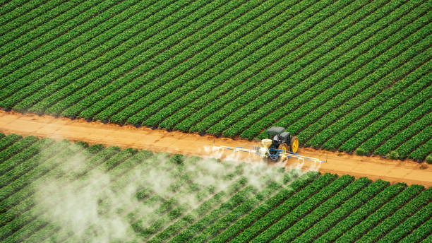 Best Commercial Pest Control Services  in Cerritos, CA