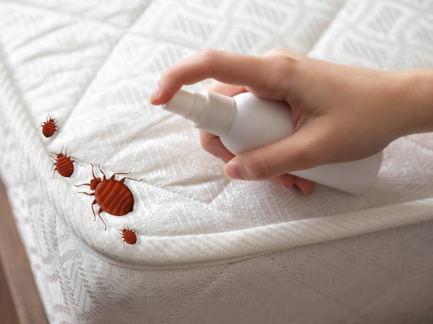 Best Emergency Pest Control  in Cerritos, CA
