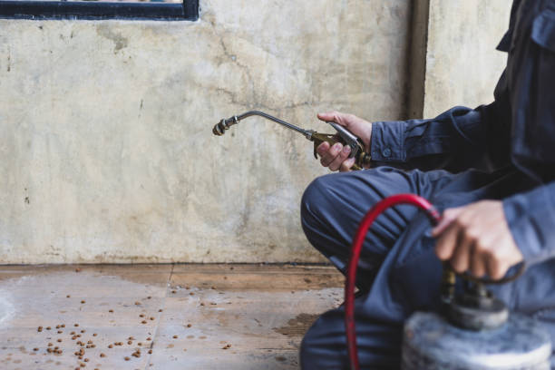 Best Pest Prevention Services  in Cerritos, CA